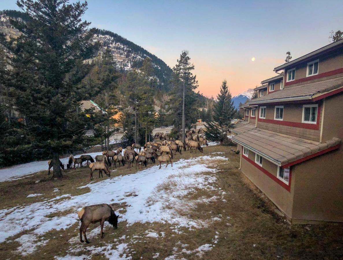 Hi Banff Alpine Centre - Hostel Exterior foto